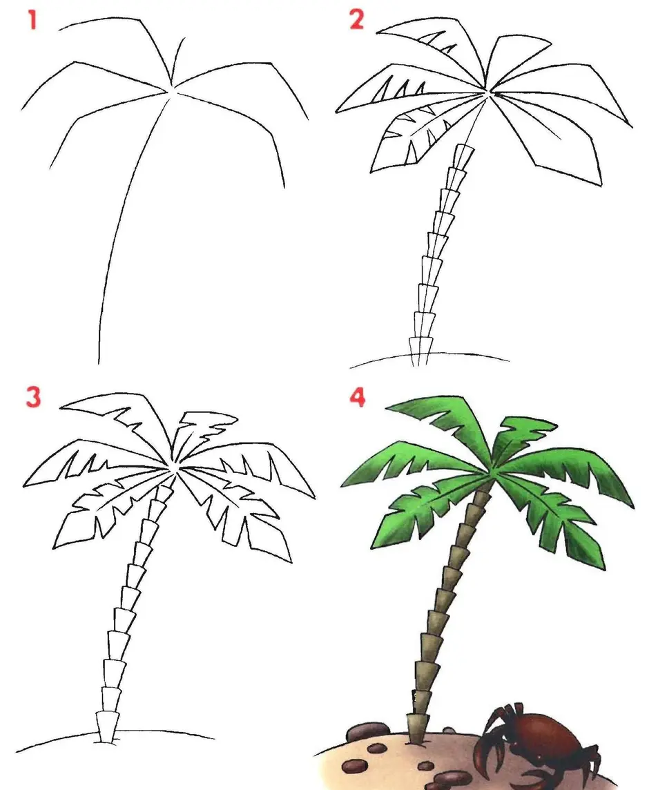 Пошаговый рисунок пальмы
