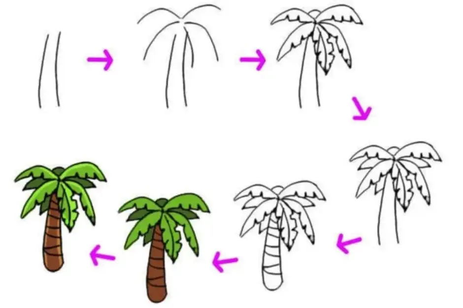 Нарисовать пальму поэтапно карандашом для детей