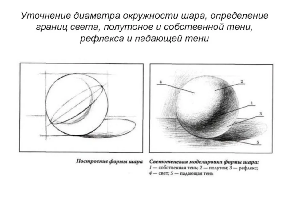 Академический рисунок шарик