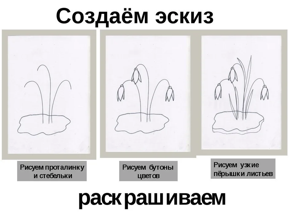 Рисование первоцветов поэтапно презентация