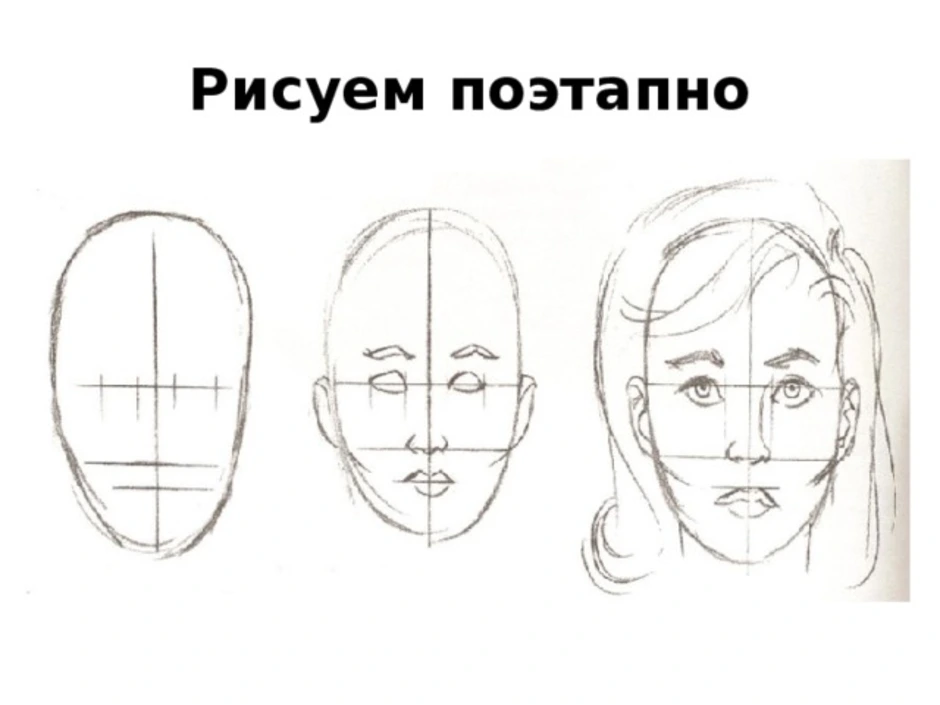 Презентация поэтапное рисование портрета