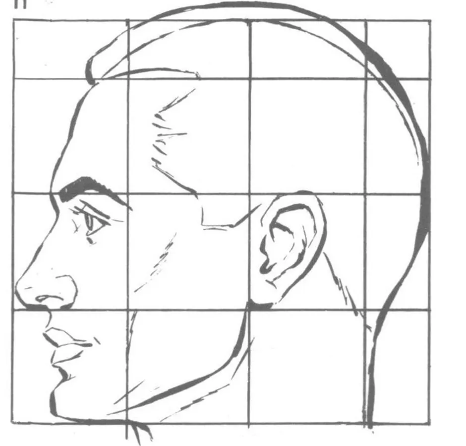 Профиль поэтапно. Схема пропорции головы человека в профиль. Построение портрета сбоку. Пропорции портретов сбоку. Схема построения головы сбоку.