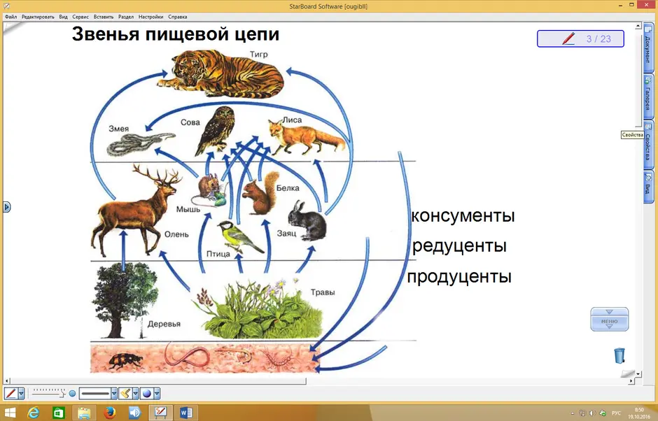 Как нарисовать природное сообщество 5 класс