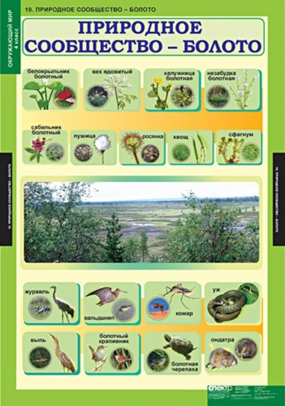 Таблица по биологии природные сообщества