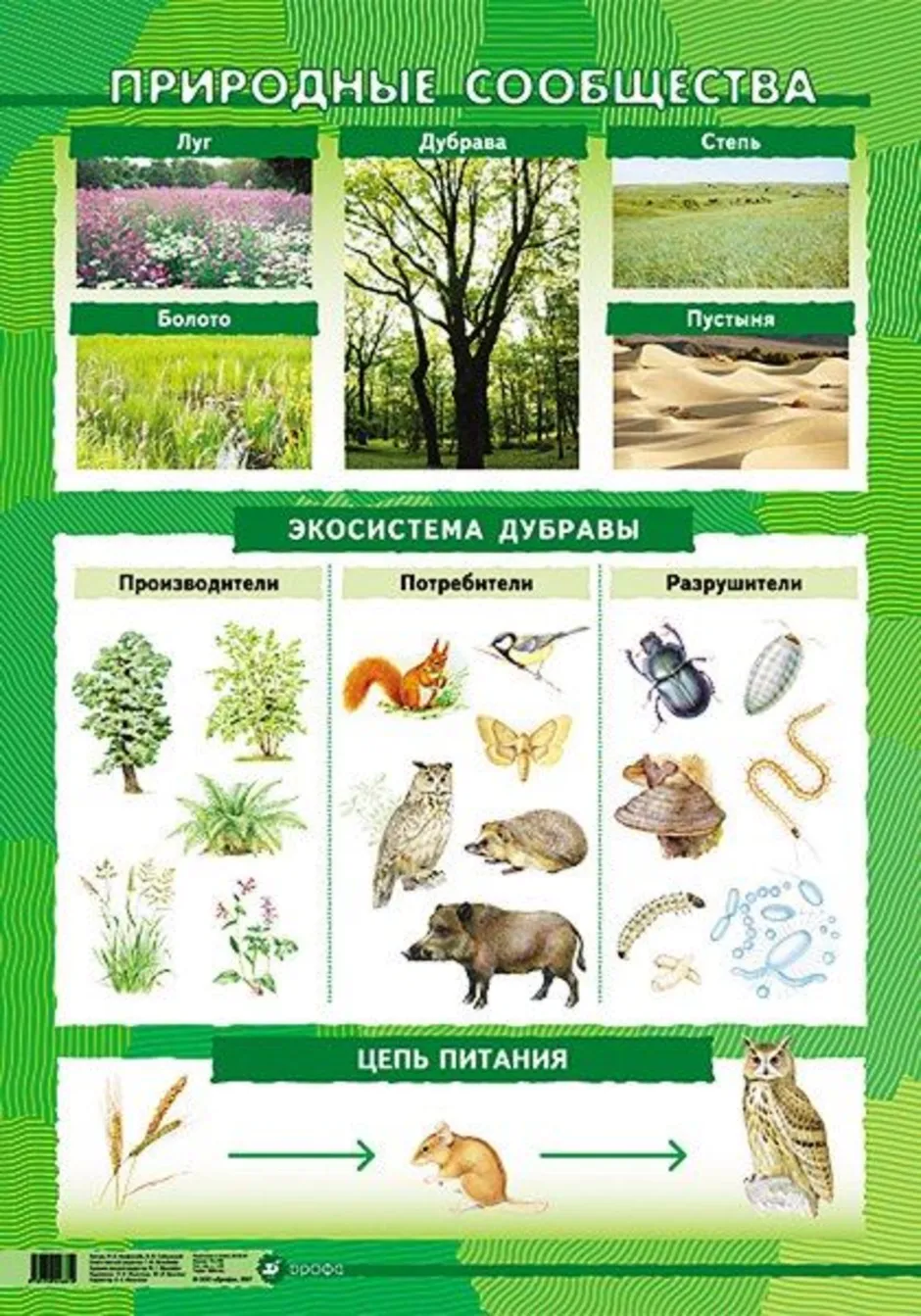 Экосистемы природных зон. Схема природного сообщества. Сообщества растений и животных. Природное сообщество это в биологии. Природные сообщества растений.