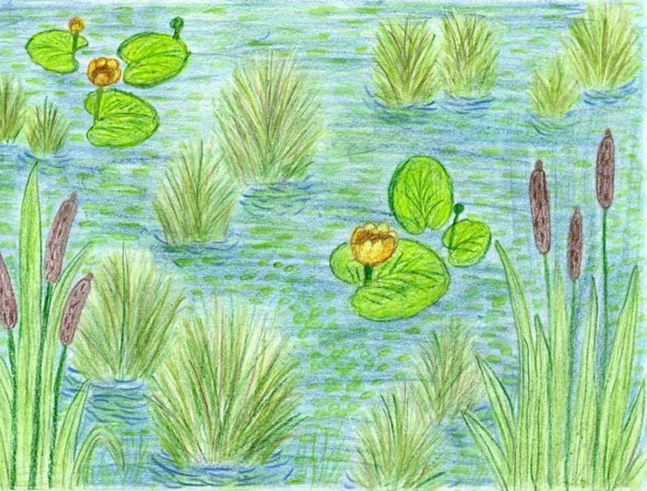 Рисунок природного сообщества 5 класс. Болото для детей. Природное сообщество рисунок. Рисование болото. Изображение болота для детей.