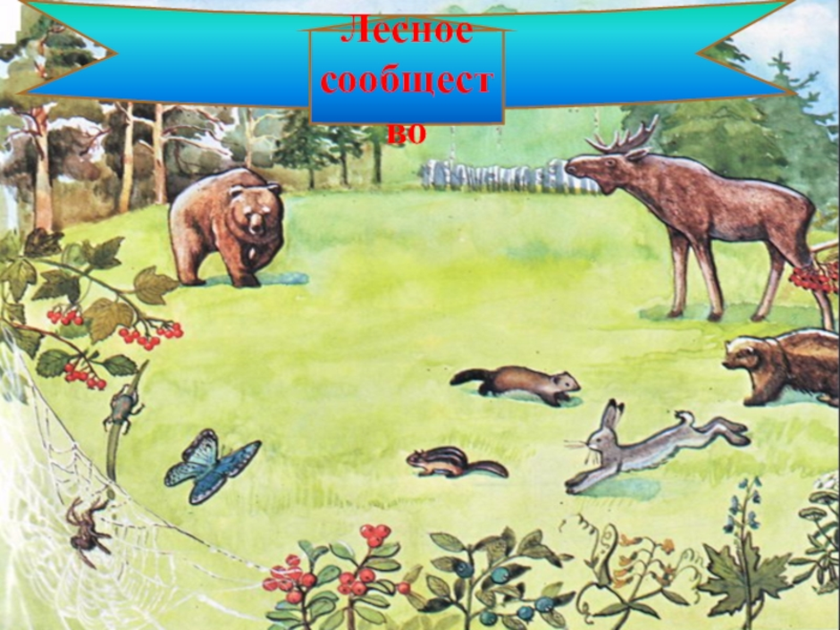Рисунок сообщество биология 5 класс. Лесное сообщество. Обитатели природных сообществ. Природное сообщество лес. Природное сообщество лес животные.
