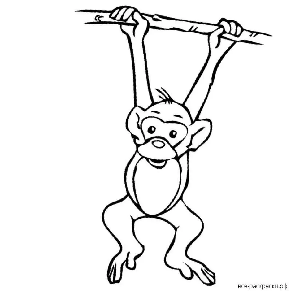 Рисунок к рассказу обезьянка. Обезьяна раскраска. Обезьяна раскраска для детей. Рисунки обезьянки для срисовки. Про обезьянку иллюстрации раскраска.