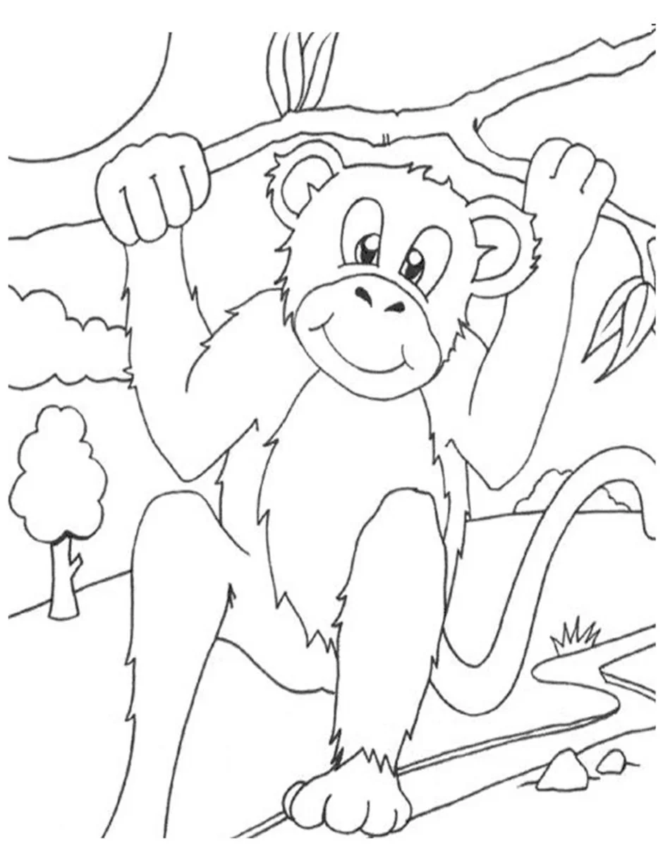 Обезьянка читательский дневник 3 класс. Житков про обезьянку 3 класс. Обезьяна раскраска. Обезьяна раскраска для детей. Раскрасить обезьяну.