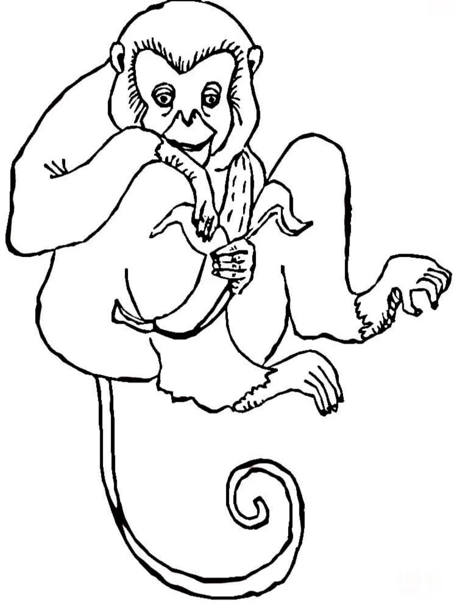 Рисунок про обезьянку 3 класс литературное чтение. Обезьянка раскраска. Обезьяна раскраска для детей. Обезьянка раскраска для малышей. Детская раскраска обезьяна.
