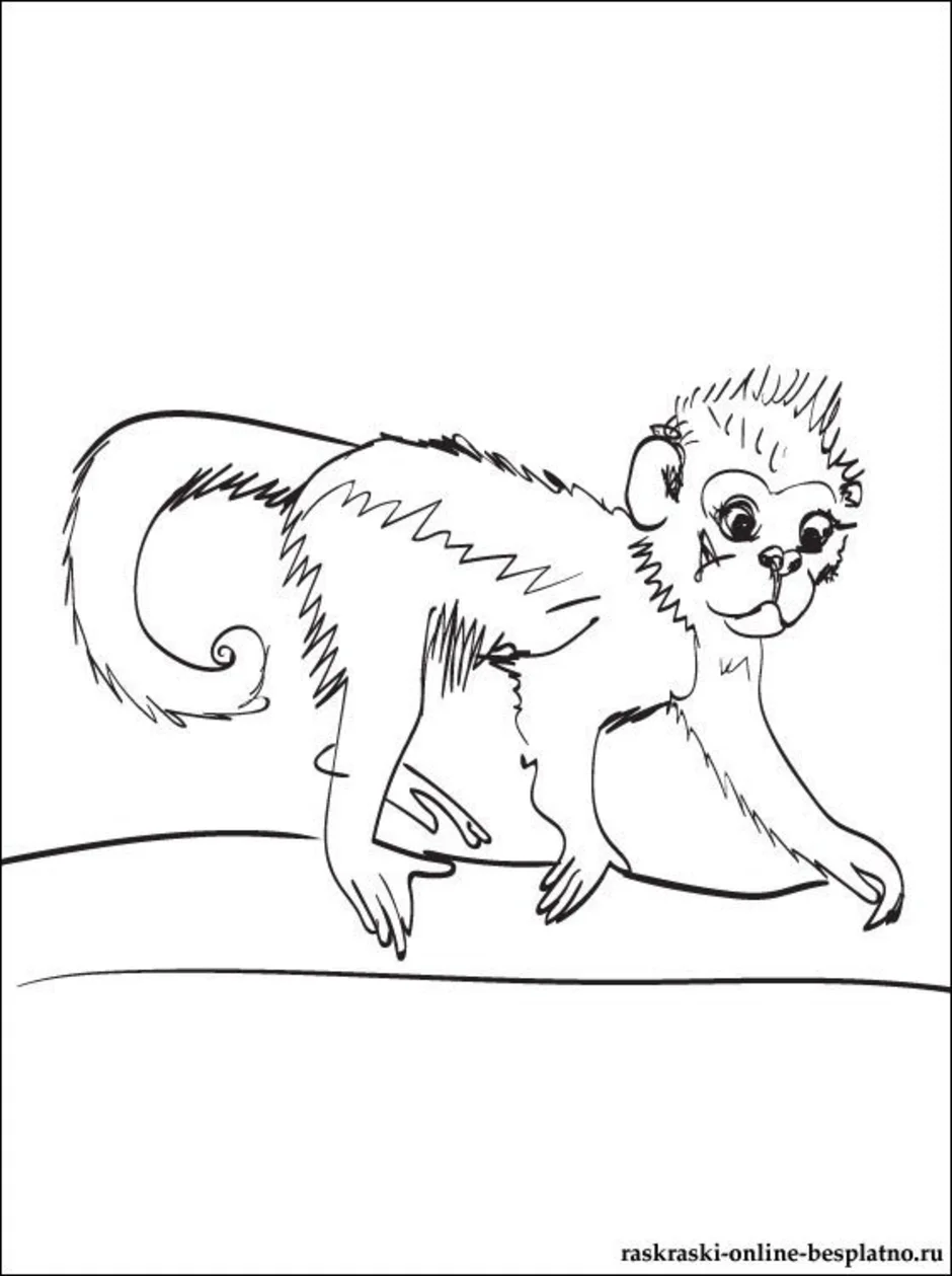 Рисунок про обезьянку житков. Житков про обезьянку 3 класс. Иллюстрация к рассказу про обезьянку Житков 3 класс. Рисунок к рассказу обезьяна Житков. Иллюстрация к рассказу Житкова про обезьянку 3 класс.