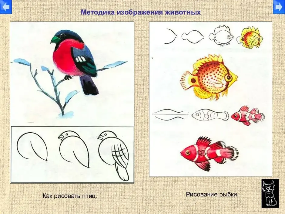 Поэтапное рисование в 1 классе презентация