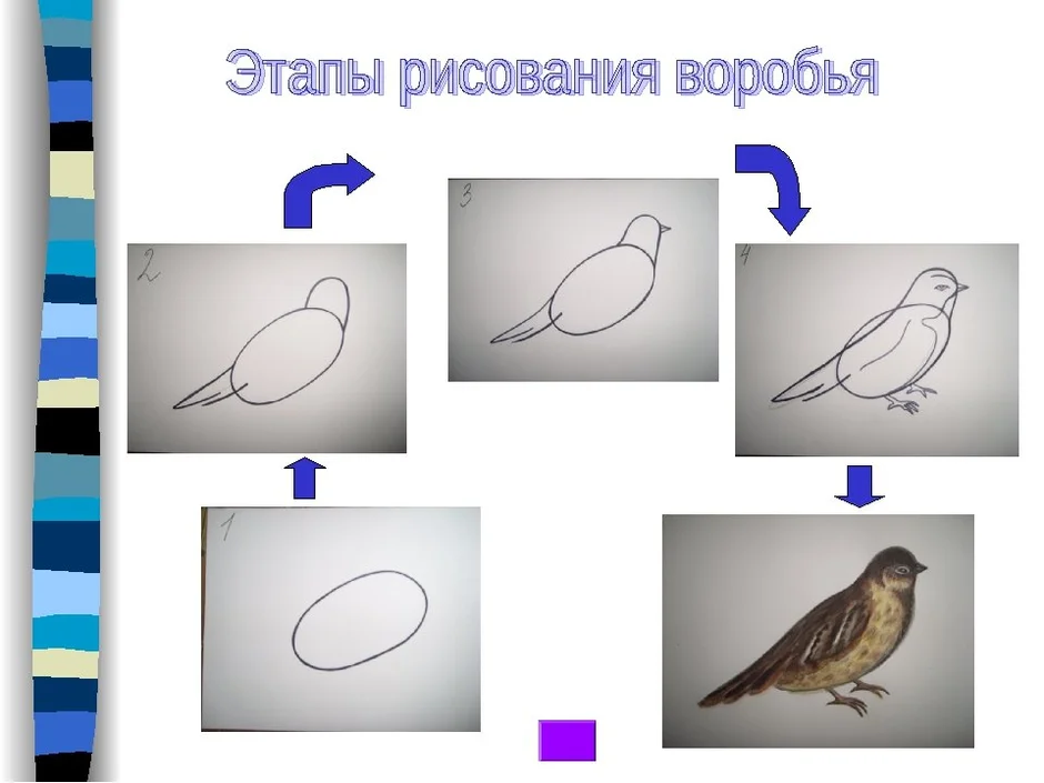 Нарисовать птицу 2 класс изо