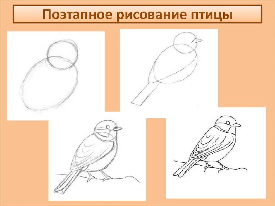 Изо птицы презентация