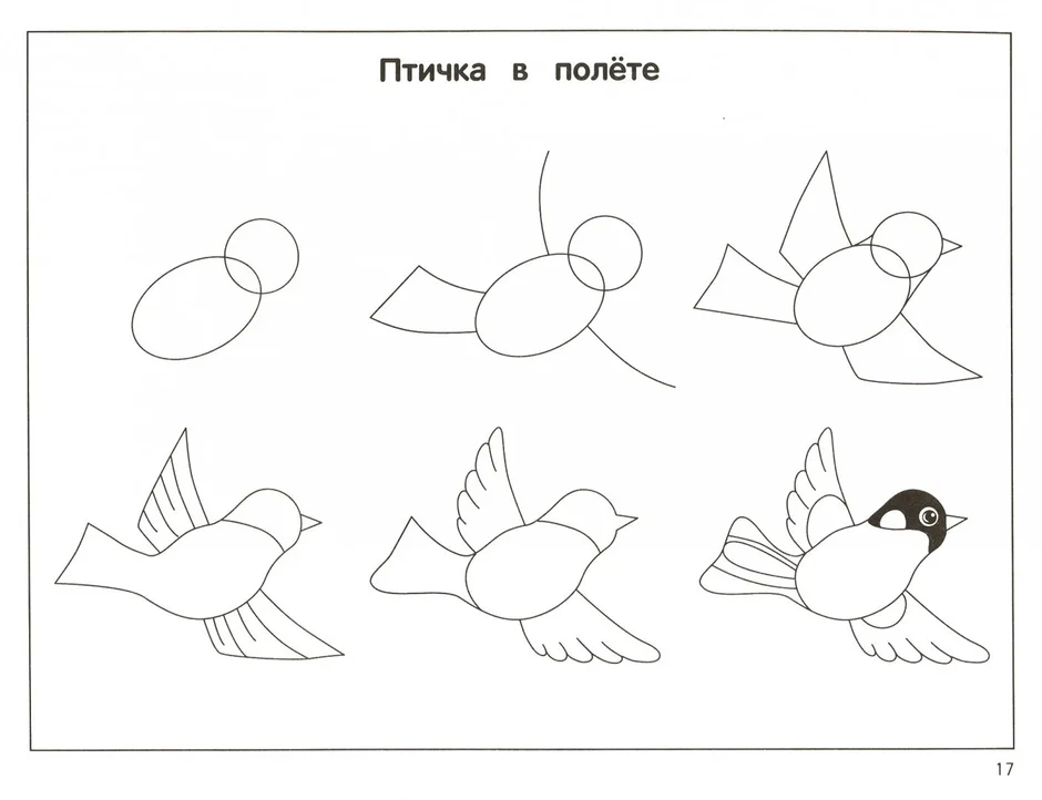 Рисуем птицы 1 класс