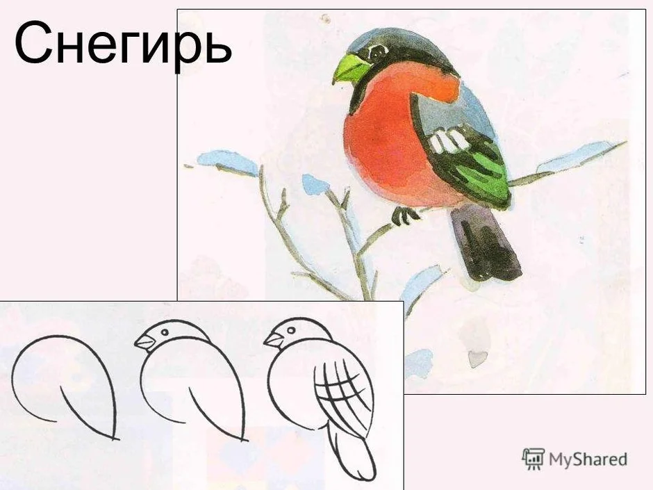 Рисуем птиц 2 класс