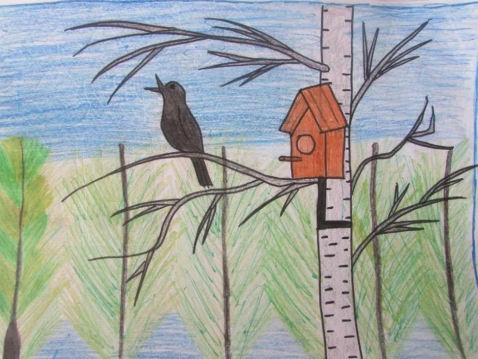 Птицы весной 2 класс. Рисование птицы прилетели. Рисунок на весеннюю тему.