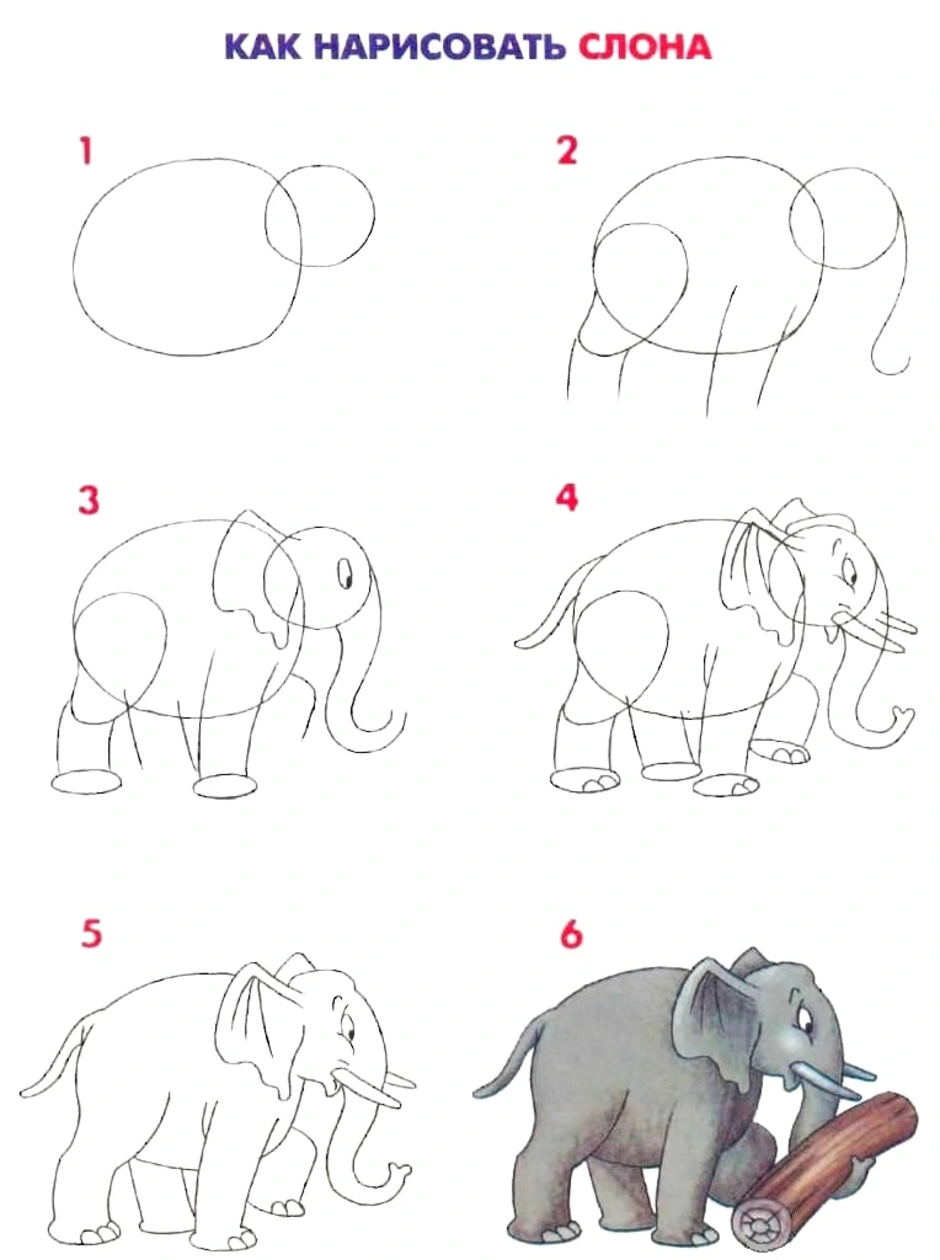 Слон нарисованный сбоку