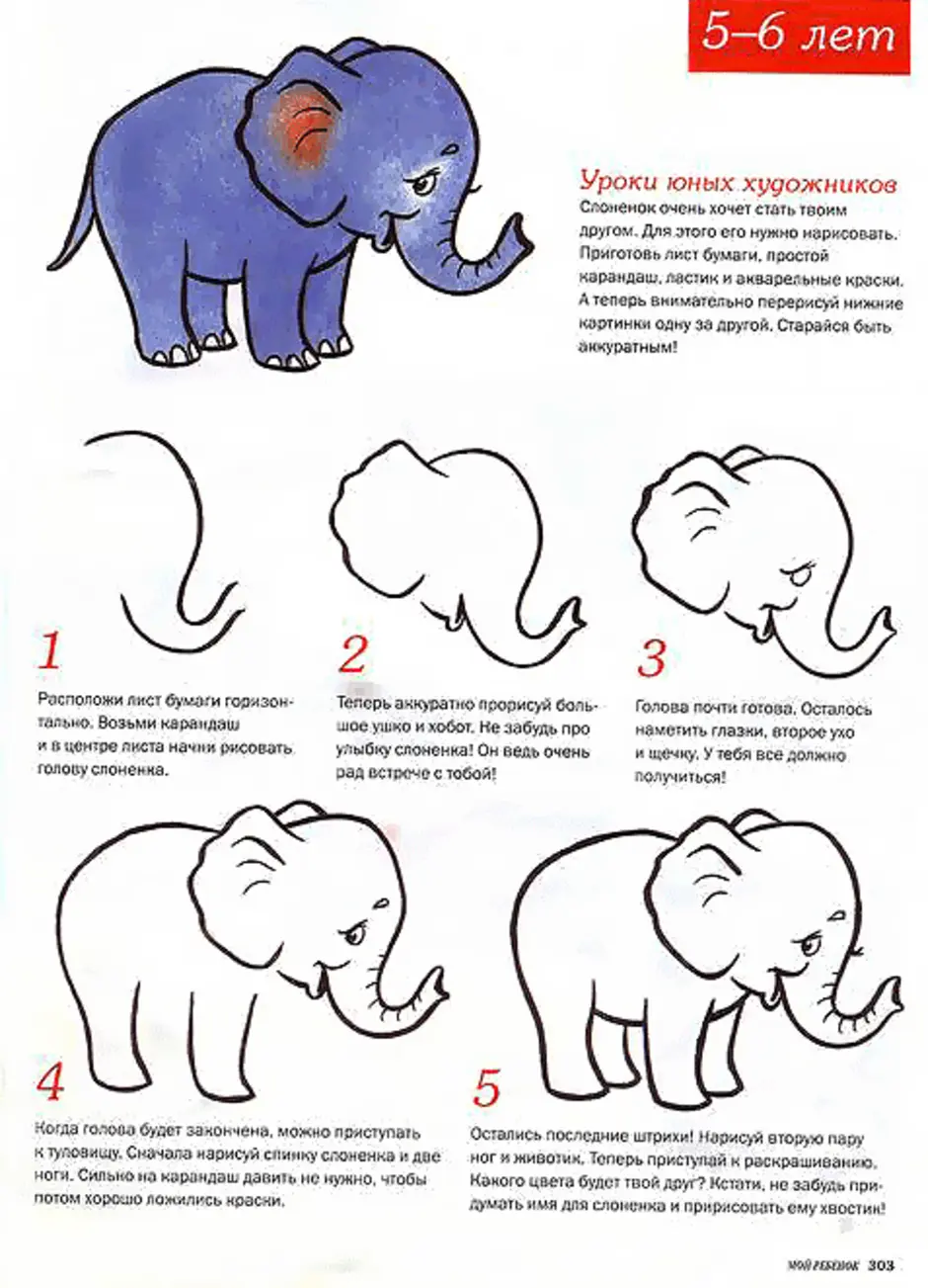 Рисунок слона карандашом поэтапно