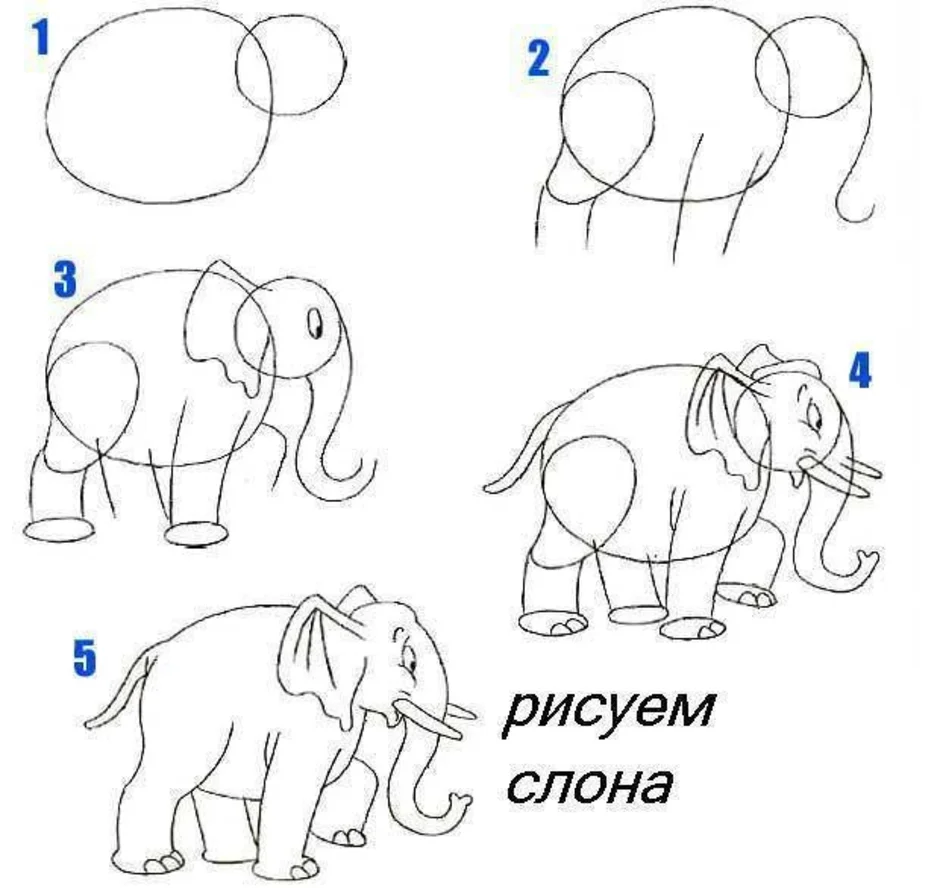 Для тех кто учится рисовать