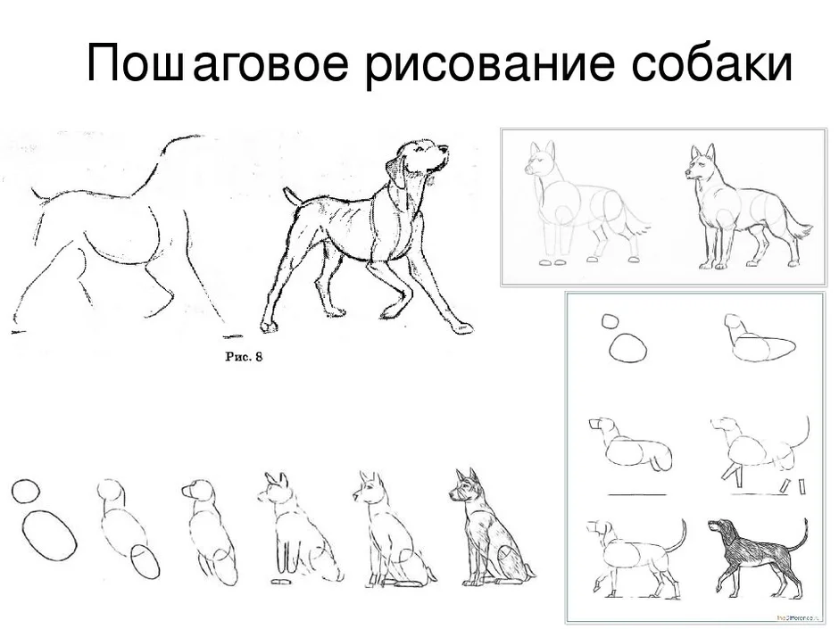 Нарисовать рисунок собаку