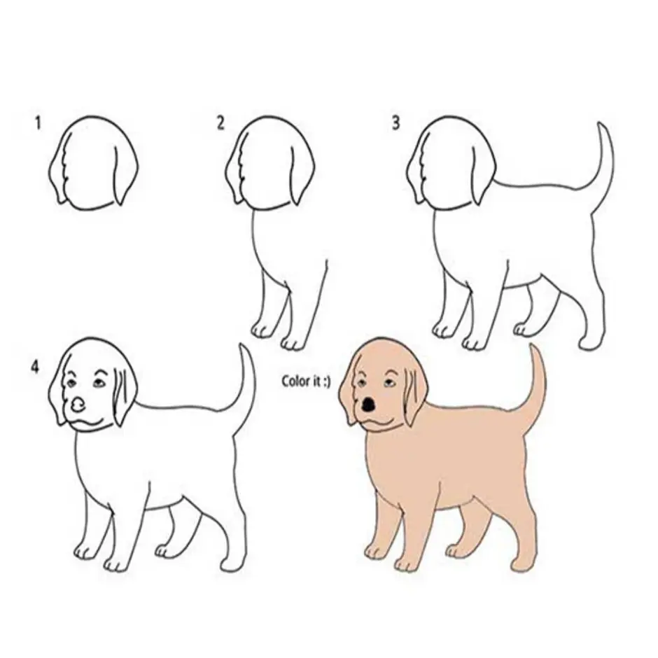 Легкий рисунок собаки для детей