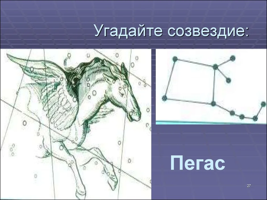 Пегас онлайн карта