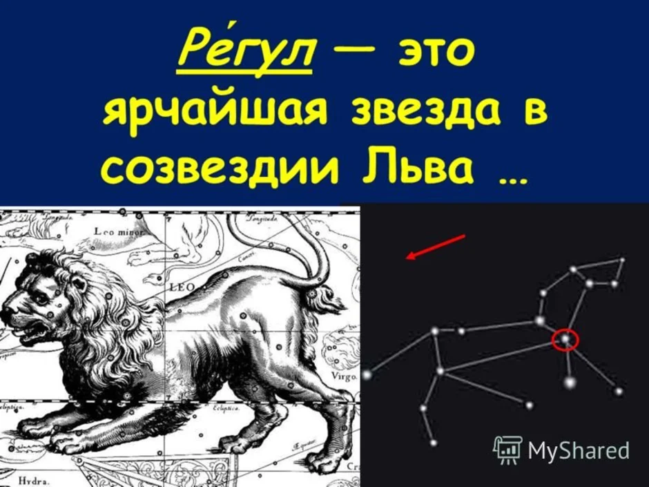 Звезды в созвездии малый лев. Созвездие Льва регул. Созвездие Лев схема для 1 класса. Зодиакальное Созвездие Льва астрономия. Главная звезда в созвездии Льва.