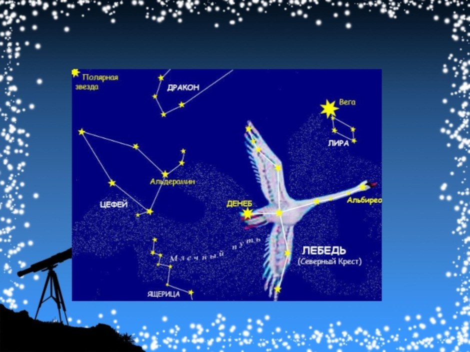 Окружающий мир созвездия. Созвездие лебедя на небе. Созвездие лебедь красивое. Созвездие лебедь и Лира. Созвездие лебедя и большой медведицы.