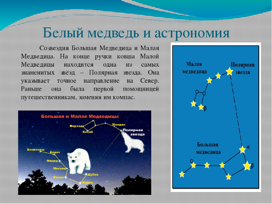 Путешествие по созвездиям проект