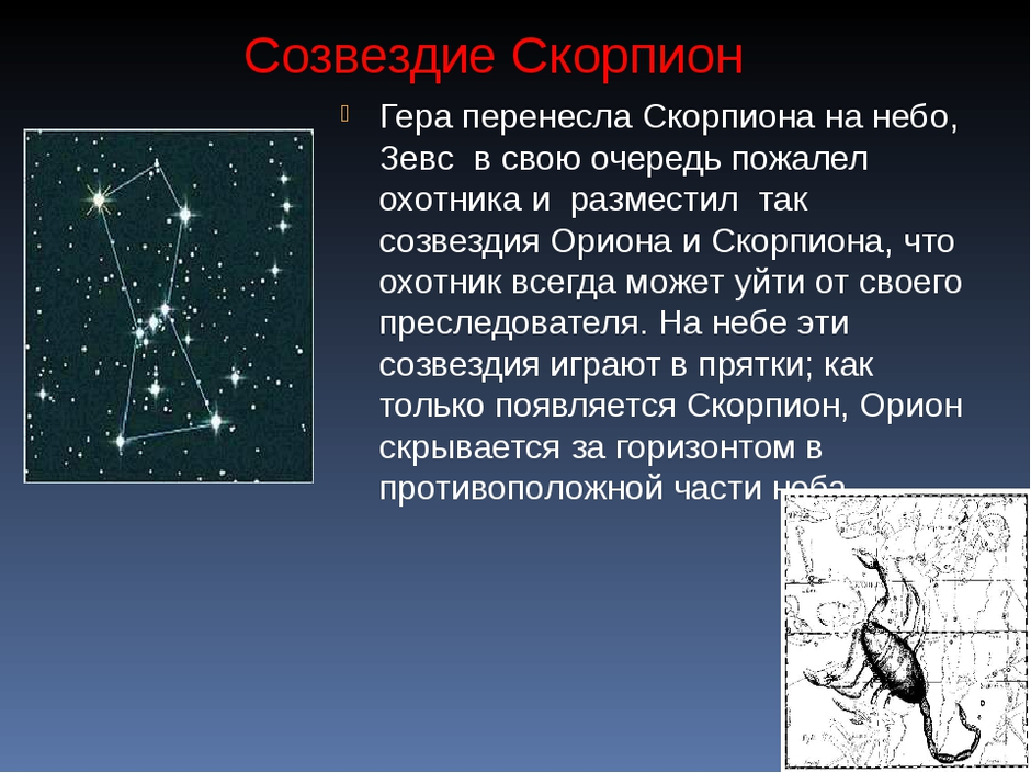 Созвездие занятости федеральный проект