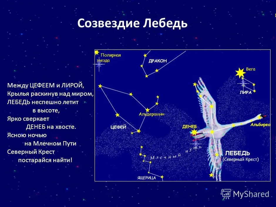 Созвездие северного неба презентация