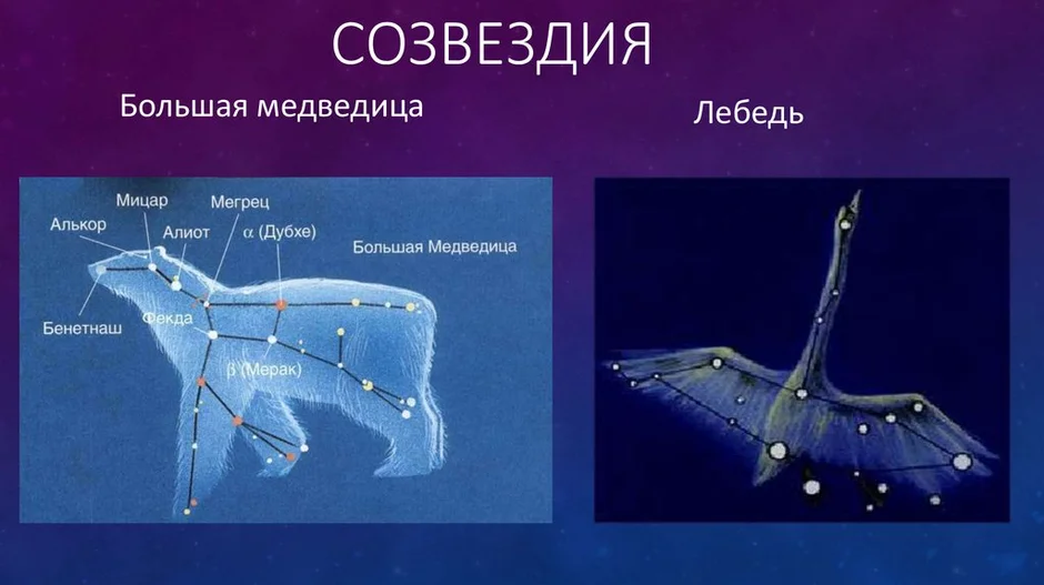 Созвездие большой медведицы картинки для 1 класса окружающий мир