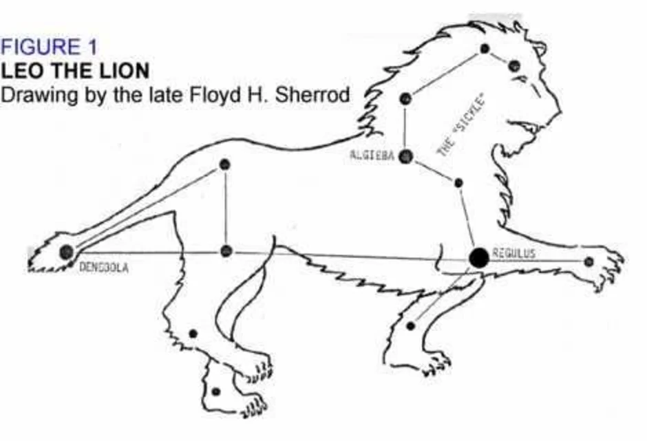 Созвездие льва рисунок 1 класс