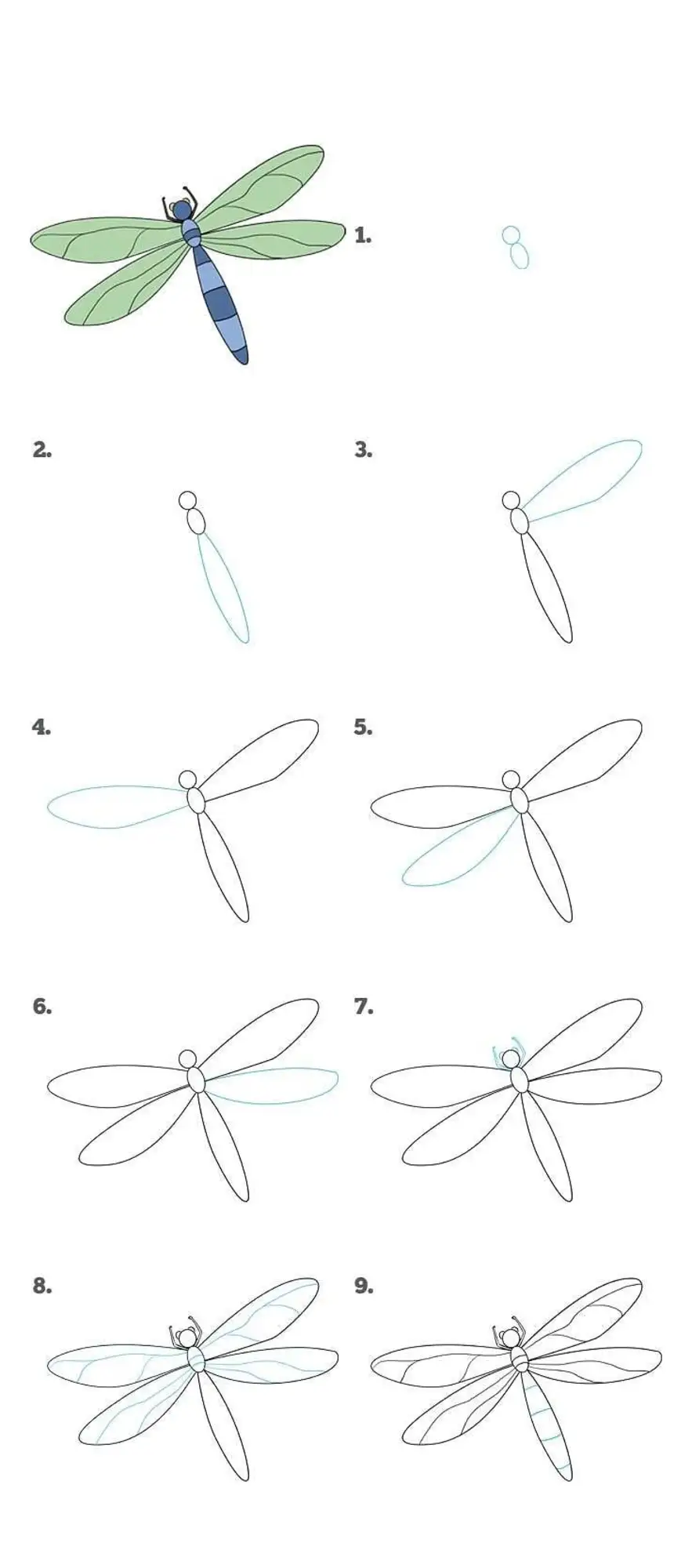 Как рисовать стрекозу. Стрекоза рисунок для детей карандашом поэтапно. Поэтапное рисование Стрекозы. Стрекоза поэтапное рисование для детей. Поэтапное рисование Стрекозы для дошкольников.