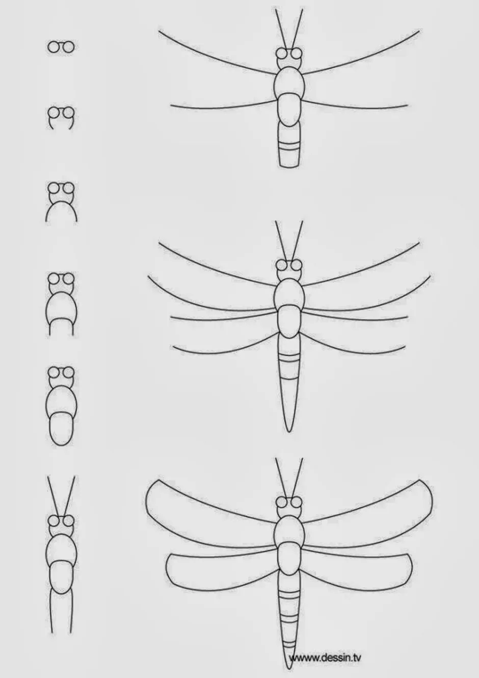 Как нарисовать стрекозу для детей