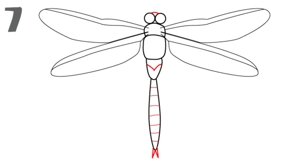 Как рисовать стрекозу для детей поэтапно