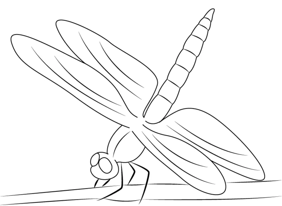 Учить стрекоза. Стрекоза рисунок простой. Стрекоза рисунок карандашом детский. Стрекоза и муравей рисунок карандашом. Легкий рисунок Стрекозы.