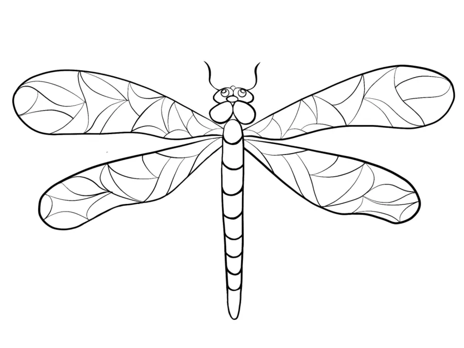 Стрекоза картинки для детей нарисованные