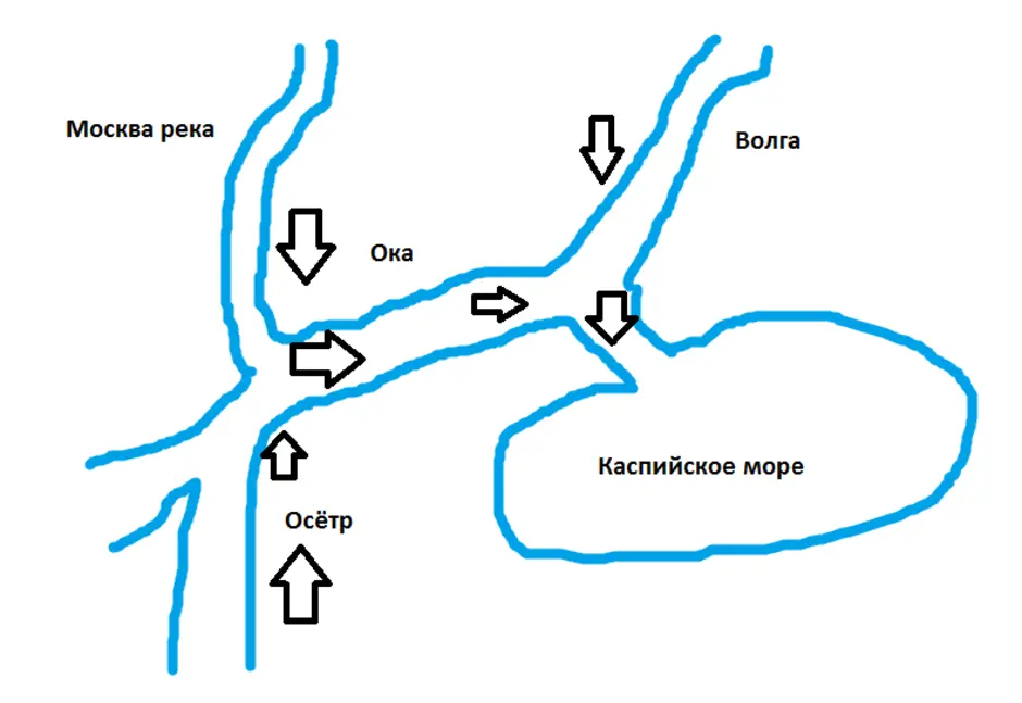 Куда течет река схема 1 класс. Куда течет река схема 1 класс окружающий мир. Схема реки окружающий мир Москва река. Москва река схема с притоками. Куда течет Москва река схема окружающий мир 1 класс.