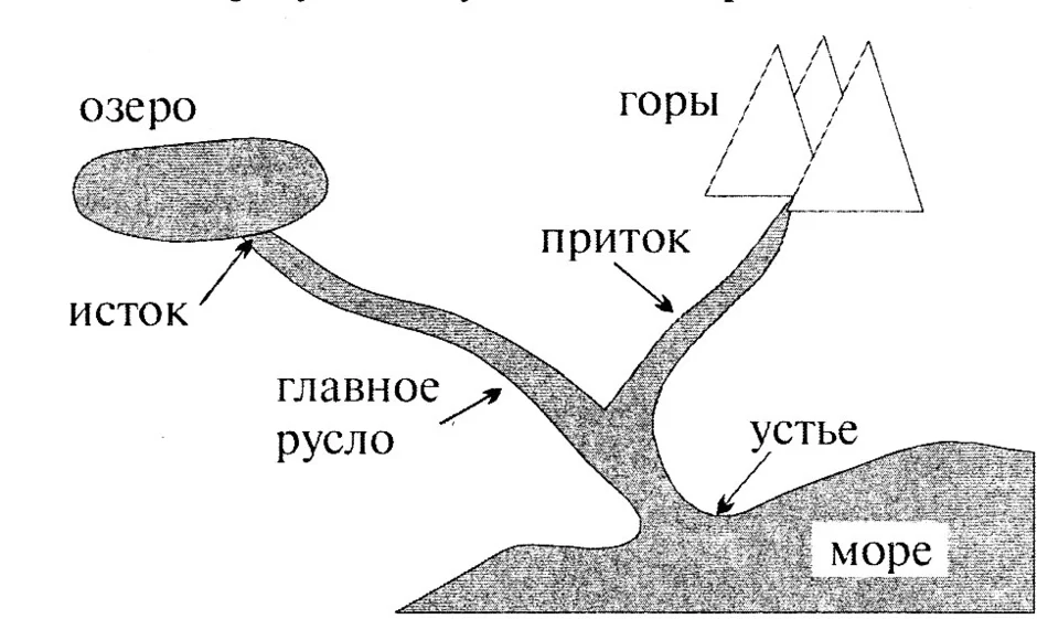 Какими цифрами на рисунке обозначены исток реки устье реки правый приток левый приток