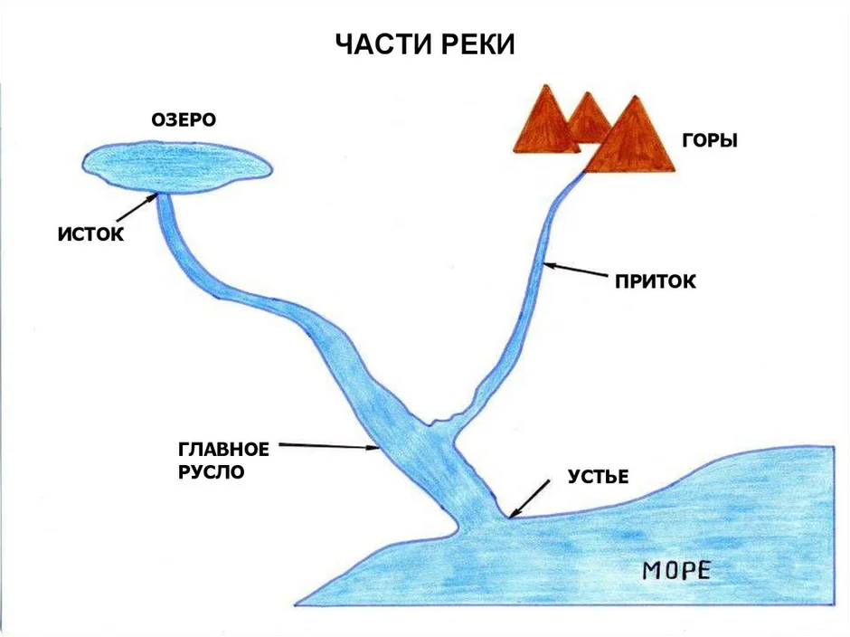 Картинка исток приток устье реки