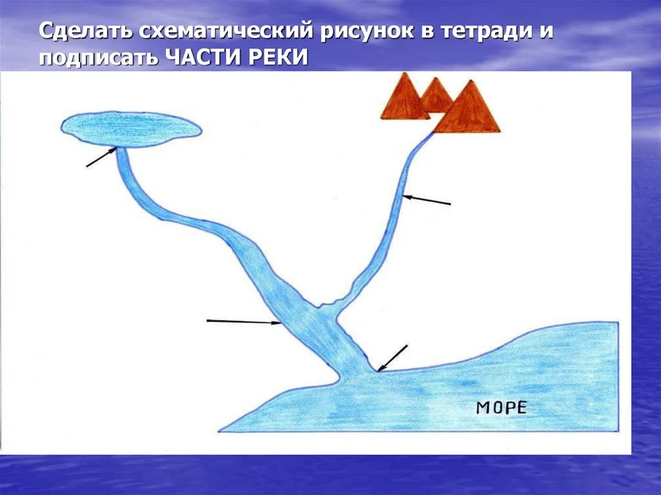 Подпиши на схеме части реки окружающий мир 2 класс