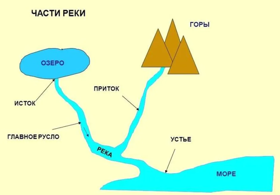 Устье реки рисунок