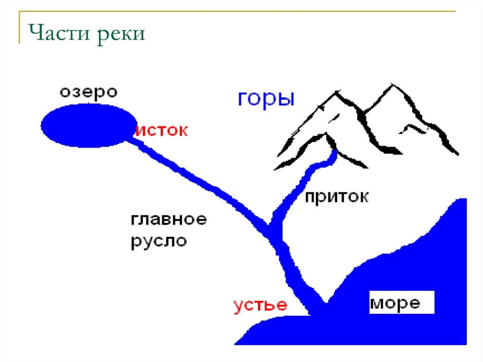 Исток русло устье картинка