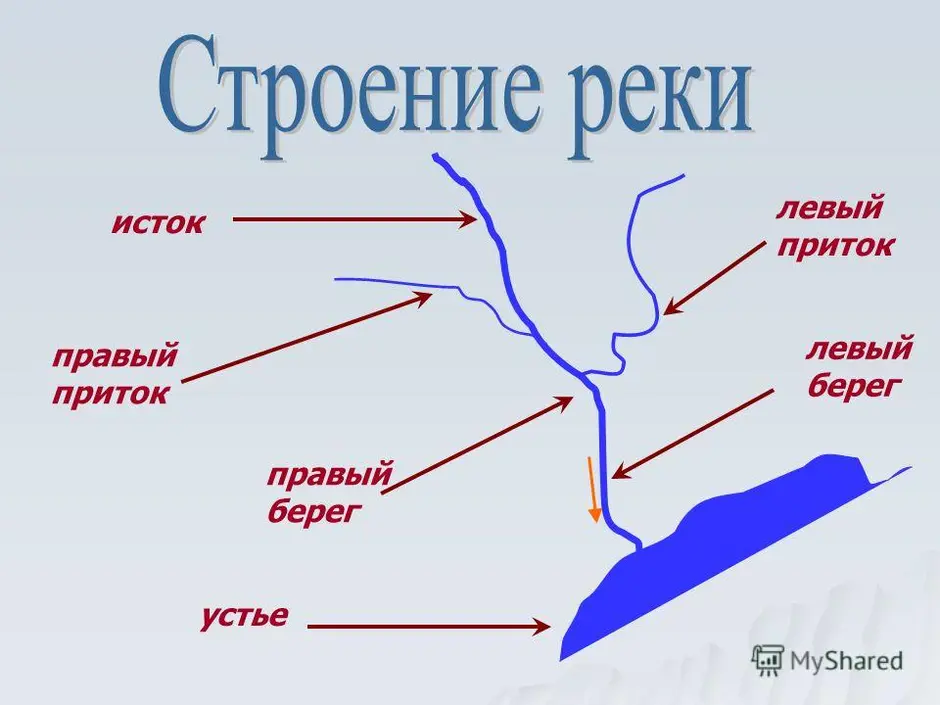 Нарисовать схему реки