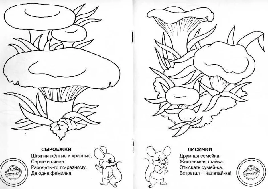 Грибы нарисовать карандашом с названием