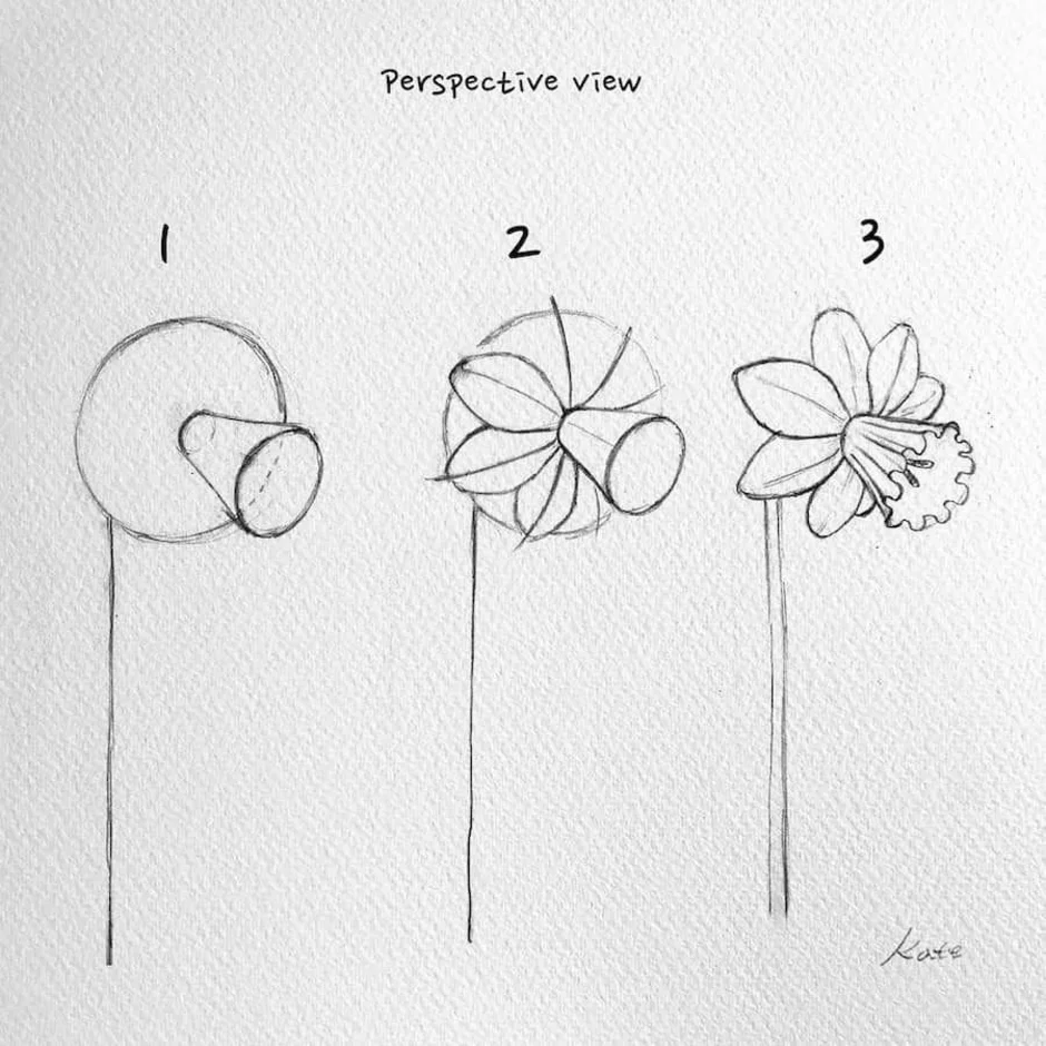 Как нарисовать цветок поэтапно