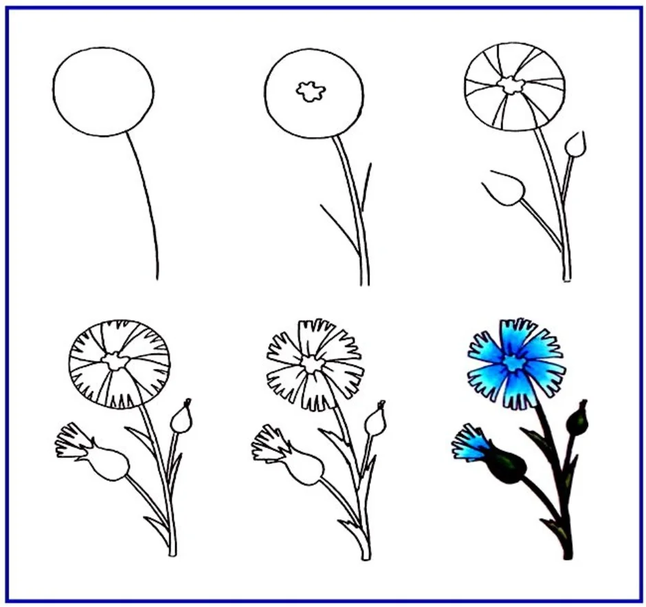 Цвет поэтапно. Рисование цветов для дошкольников. Схемы рисования цветов для детей. Последовательность рисования цветов. Поэтапное рисование цветов в подготовительной группе.
