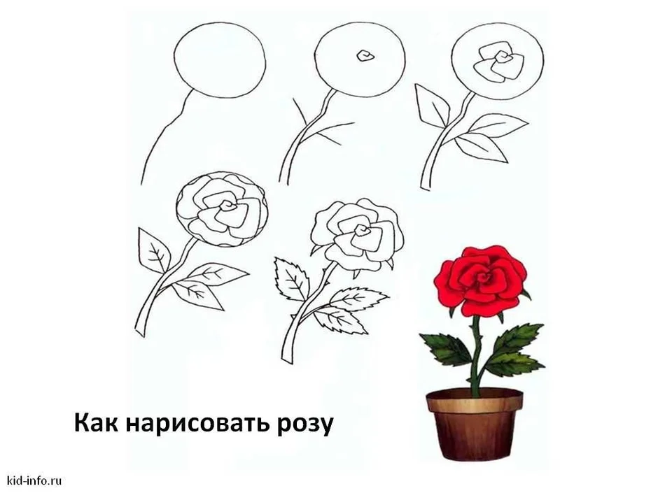 Цветы рисунок 1 класс